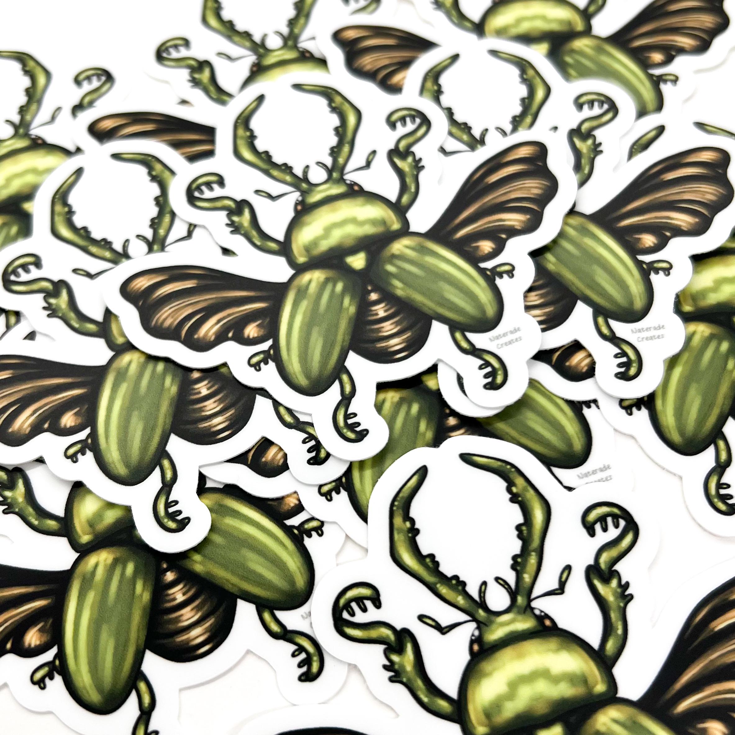 Beetle Sticker: Weatherproof Die-cut Beetles Bug Stickers - Etsy
