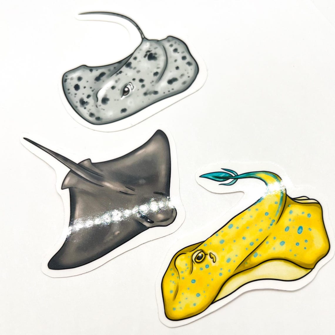 Light Rays Stickers Rays Sticker Pack, Ocean Ray Stickers, Stingray Stickers by Naterade ...