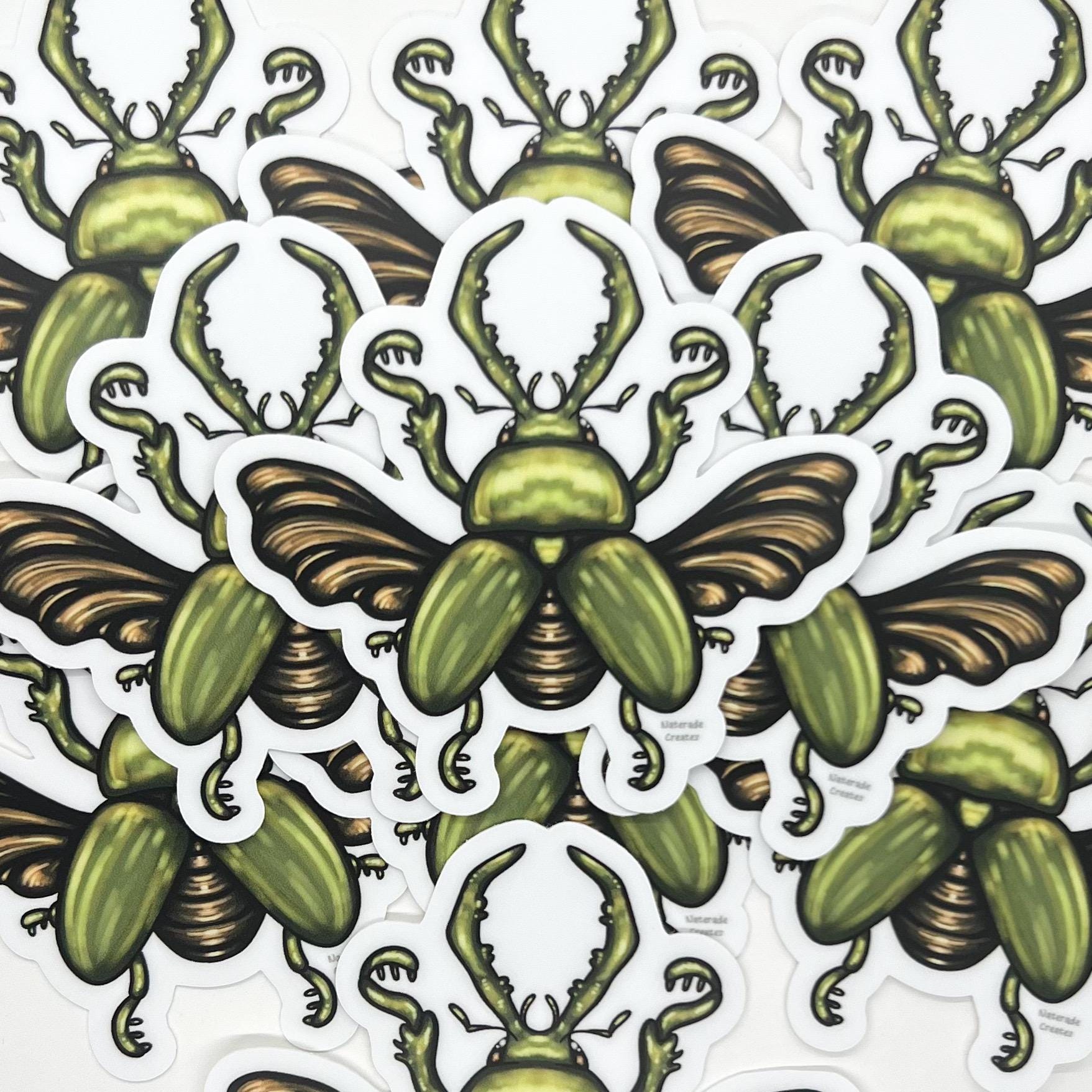 Beetle Sticker: Weatherproof Die-cut Beetles Bug Stickers - Etsy