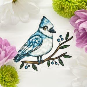 Bluejay Sticker, Blue Jay Sticker, Bird Sticker, Jay Sticker  by Naterade Creates