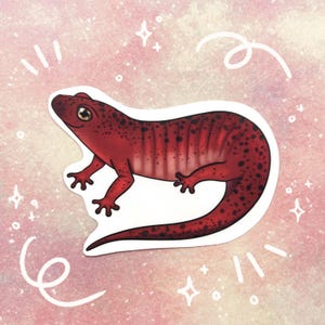 Northern Red Salamander Sticker, Salamander Sticker, Salamander Waterbottle Sticker by Naterade Creates