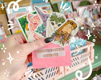 Bolsa sorpresa de pegatinas misteriosas: 5 pegatinas troqueladas brillantes de Naterade Creates