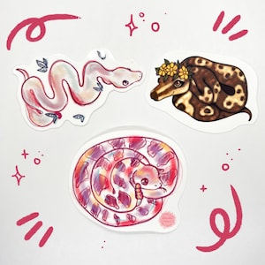 Conjunto de pegatinas de serpientes: pitón, pitón bola, serpiente de cascabel