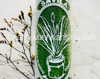 Bougie Aloe Vera Sauge/Vela Savila Con Salvia