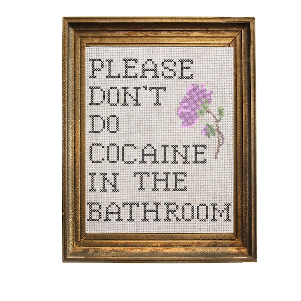 Don’t Do Cocaine in the Bathroom Needlepoint Print; Funny, quote, wall art