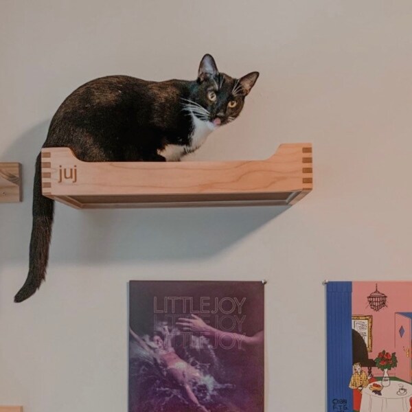 Wall Mounted Cat Bed Etsy