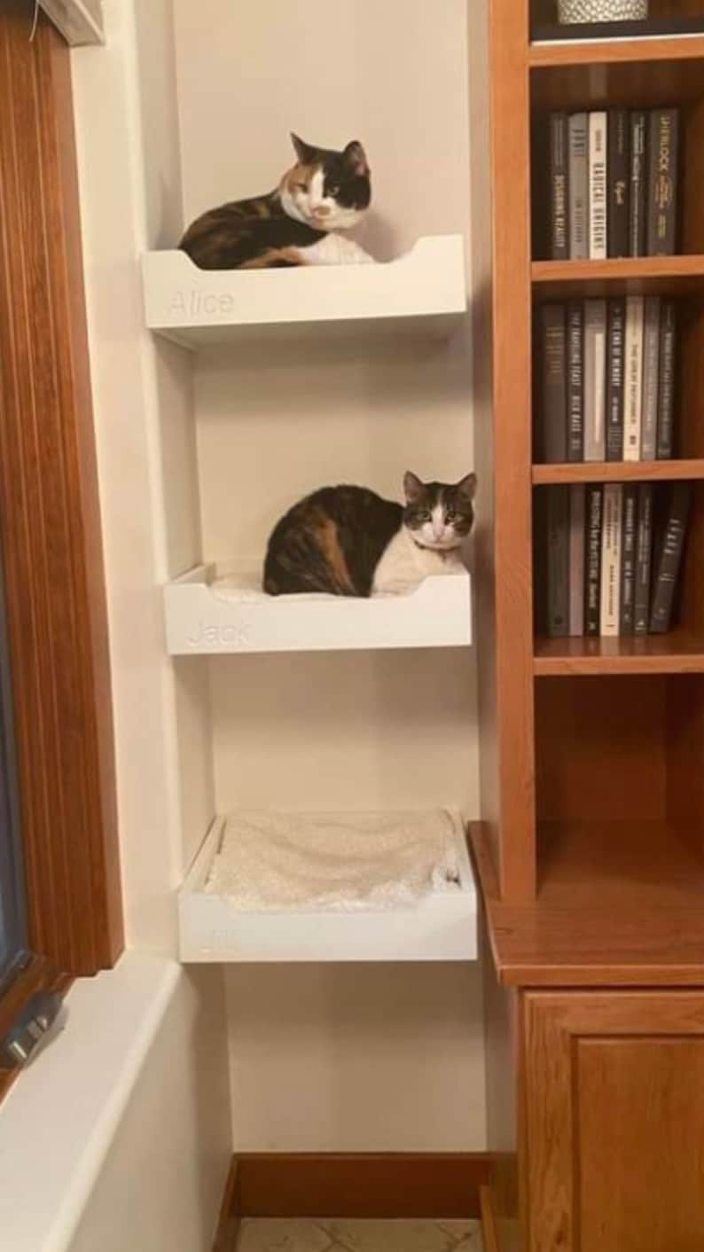 Wall-mounted cat bed. In honor of the life of Lemon I am | Etsy