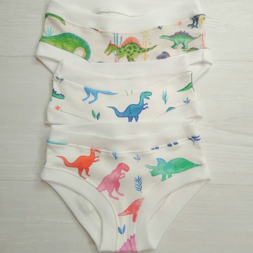Girls Dinosaur Underwear Kids Undies Toddler Dino Etsy