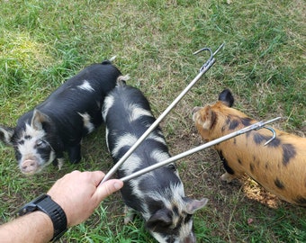 Titanium fire poker and blow tube