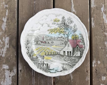 Vintage Alfred Meakin Home Pastures Pattern Color Transferware 10 Inch Dinner Plate Made in England Retro Kitchen Dining Room