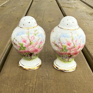 Vintage Royal Albert Blossom Time Pattern Fine Bone China Hole Bulb Salt and Pepper Shakers Shaker Set Made in England Retro Dining Room