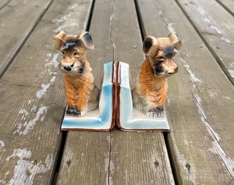 Può includere: Una coppia di fermalibri in ceramica raffigurante due cani terrier identici, marroni e neri. Ogni cane è scolpito in posizione seduta, appoggiato su una base bianca a forma di libro con i bordi delle pagine dipinti di blu.