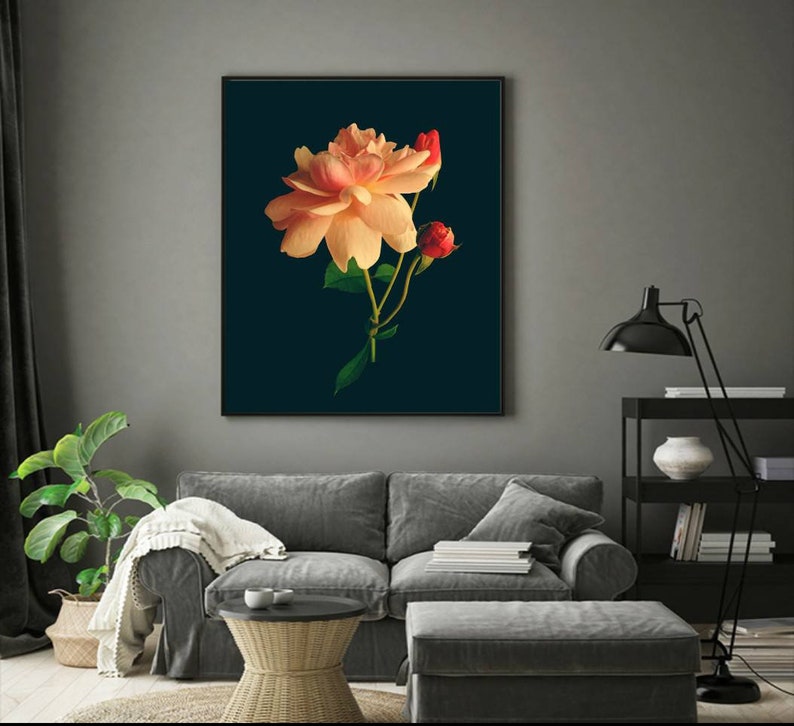 Printable Rose Wall Art Flower Wall Print Peach Color Rose Etsy