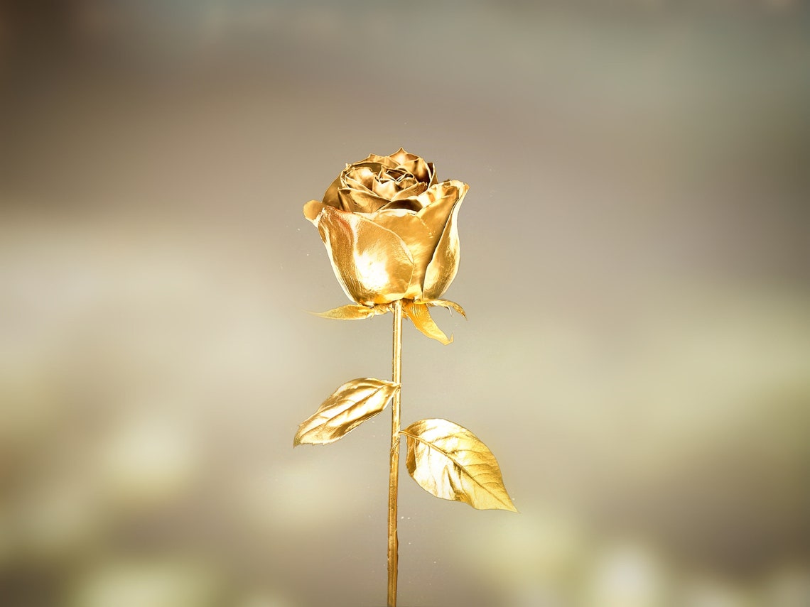 Golden Rose Wall Decor for a Home Anniversary Gift Living Etsy UK