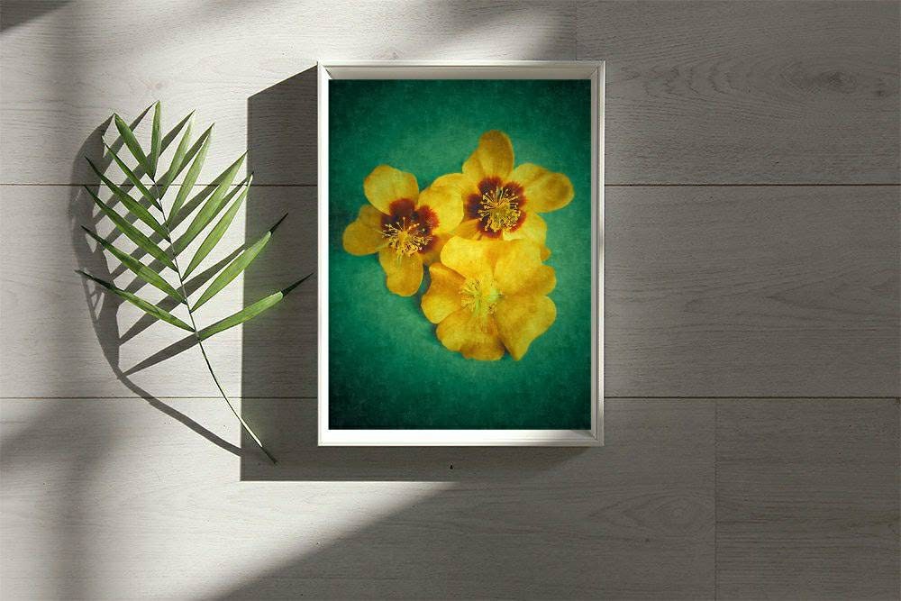 Flower Picture Wall Decor Living Room Wall Print Instant Etsy flower-picture-wall-decor-living-room-wall-print-instant-etsy