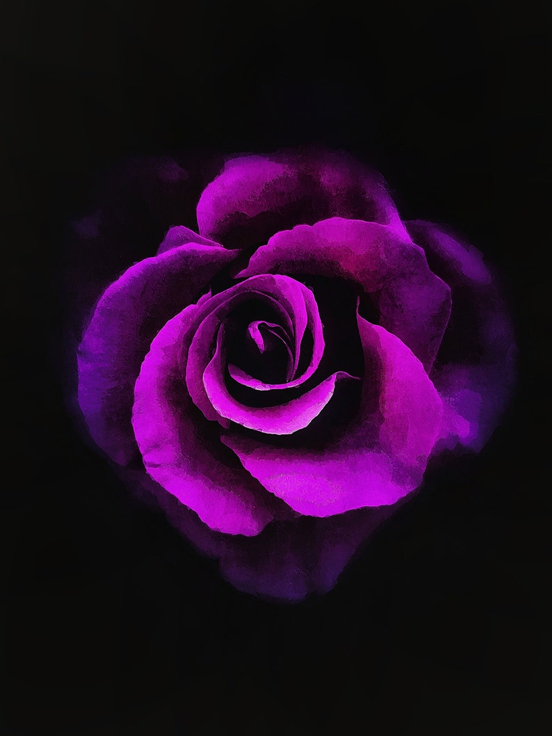 Purple Rose Wall Art for a Living Room Rose Flower Wall Decor Etsy