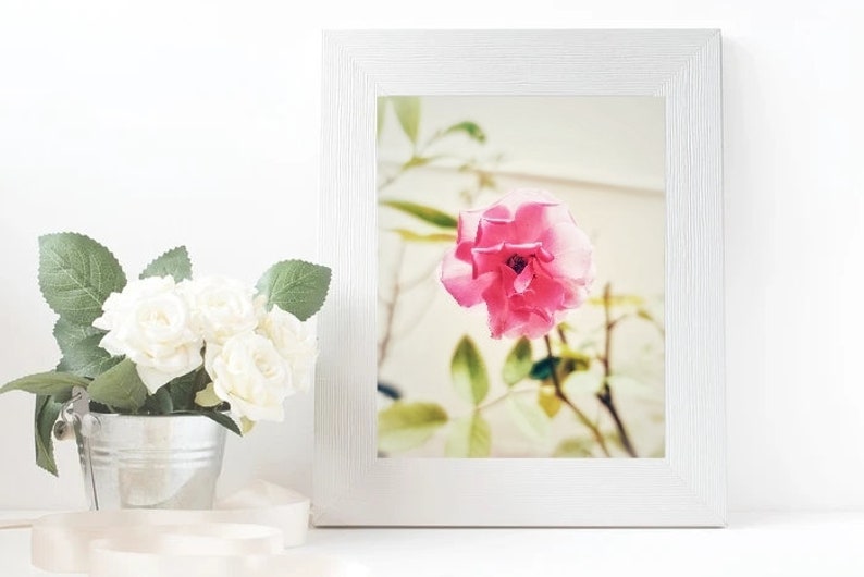 Buy Pink Rose Wall Print Rose Wall Decor Gift for Her Romantic Online