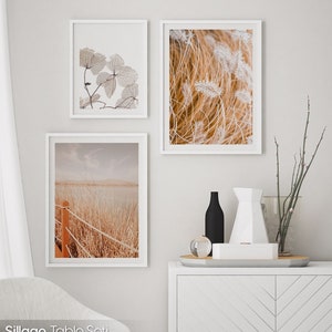 Juego de 3 impresiones de hierba de la pampa enmarcadas, arte de pared bohemio, galería de pampas, decoración de pared bohemia, póster de otoño