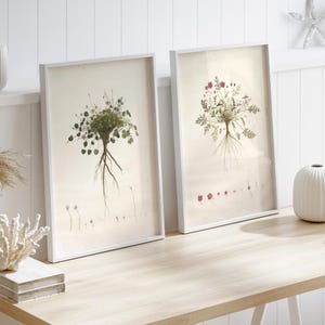Framed Botanical Art Print Set: Vintage Floral, Wooden Frames