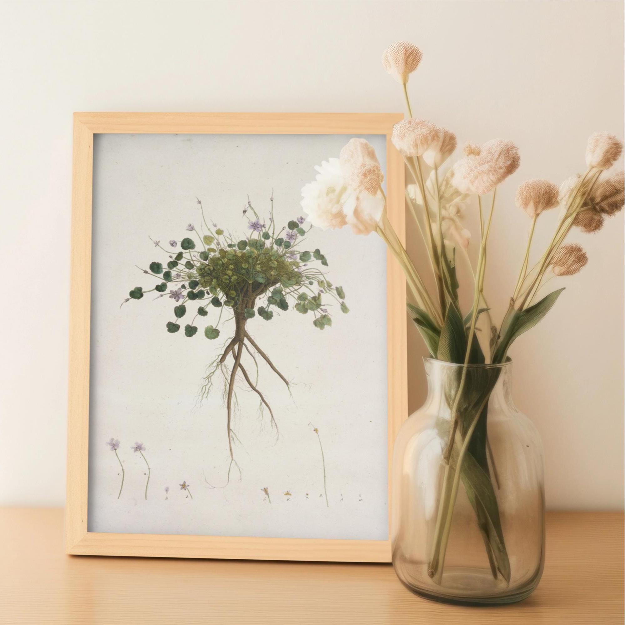 Framed Botanical Art Print Set: Vintage Floral, Wooden Frames - Etsy