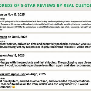 May include: A digital graphic displaying customer feedback with the heading HUNDREDS OF 5-STAR REVIEWS BY REAL CUSTOMERS. It lists four individual reviews from Susan, Yasmeen, Chloe, and Sign in with Apple user, each featuring five black stars.