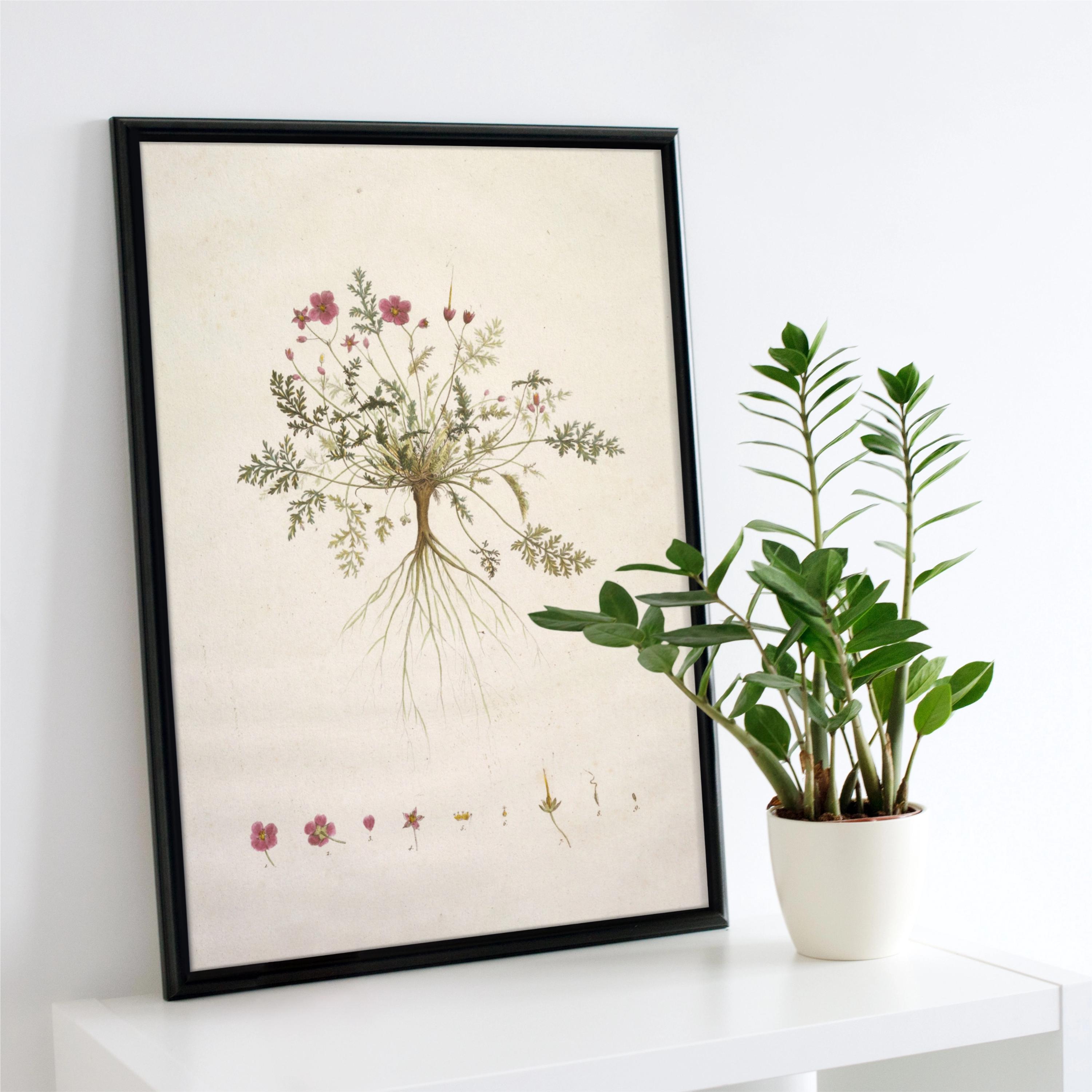Framed Botanical Art Print Set: Vintage Floral, Wooden Frames - Etsy