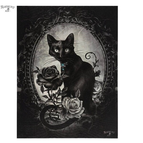 Alchemy Paracelsus Black Cat vintage Skull Mirror Grey Roses Picture Canvas 25cm