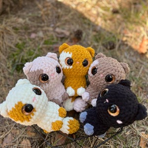 May include: Five crocheted cat plushies in a variety of colors, including white, brown, orange, and black. The plushies have large, black eyes and are arranged in a circle.