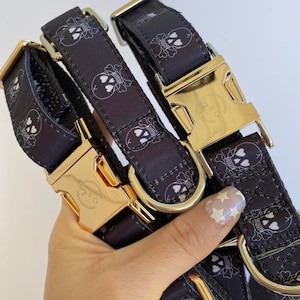 Skull and Crossbones - Halloween Dog Collar - Buckle and Martingale