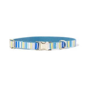 May include: A blue and white striped dog collar with a silver buckle and a silver D-ring.