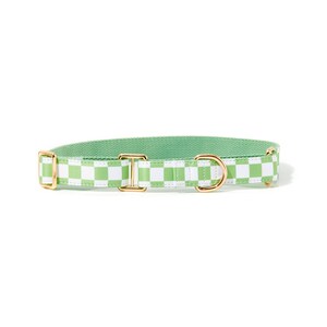 Green Checkered Martingale Dog Collar