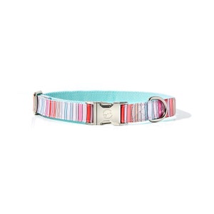 May include: A turquoise blue dog collar with a silver buckle and a colorful striped pattern. The collar has a silver D-ring.