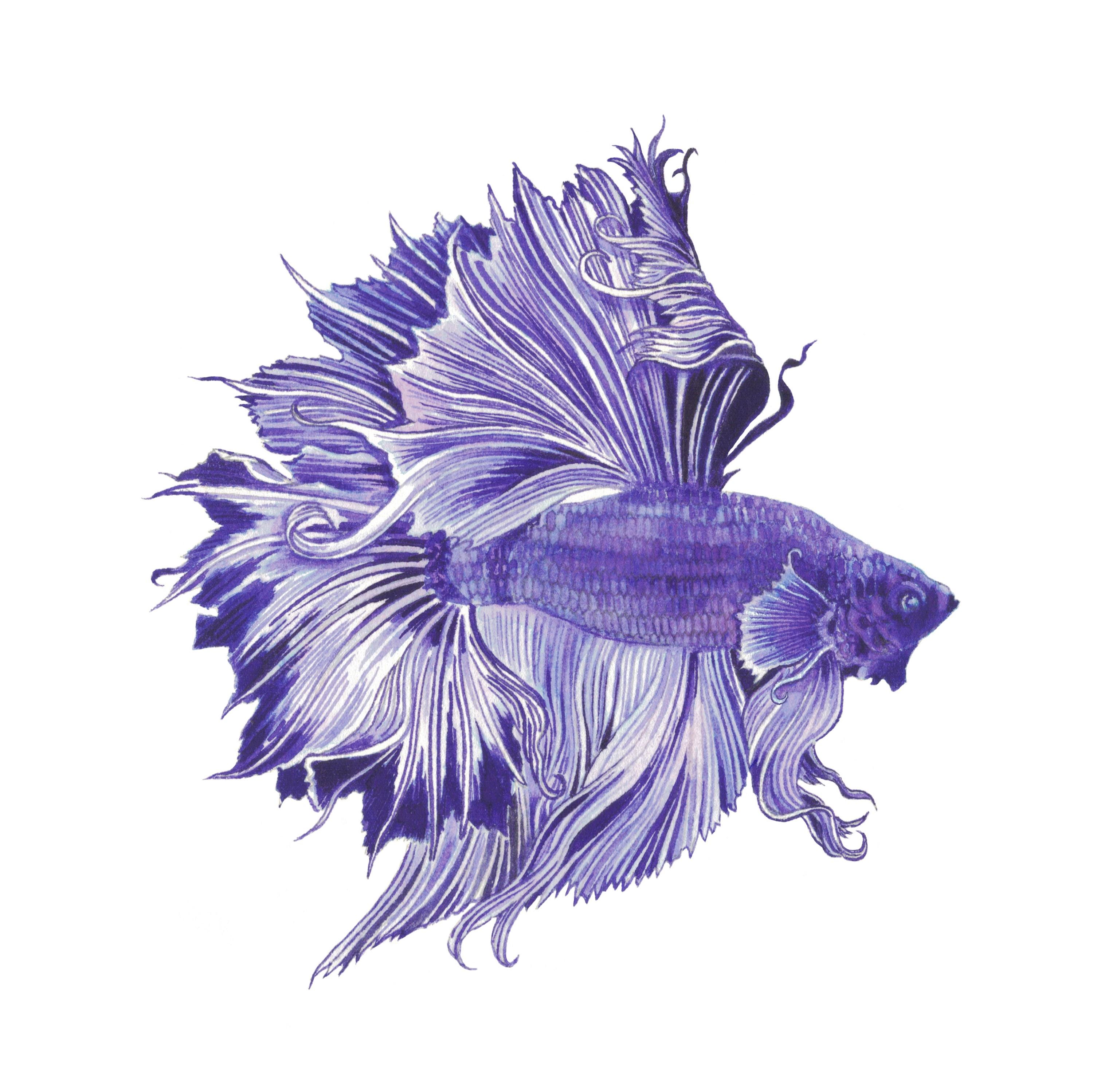 Two Fish Beta Ink Anderillium Beta Fish Purple Fountain Pen Ink - Etsy