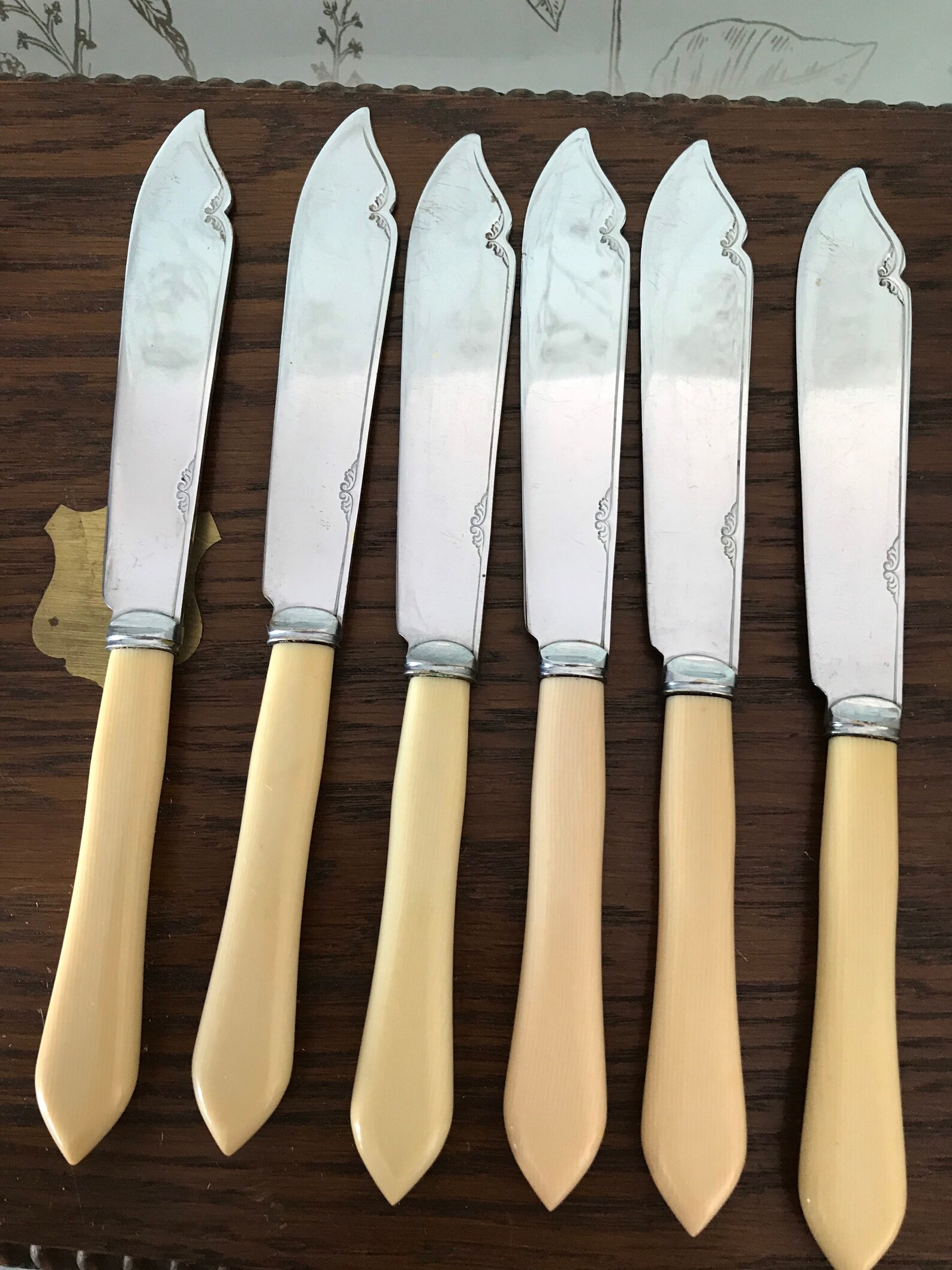 Antique Presentation Box of Cutlery Fish Knives and Forks and Etsy