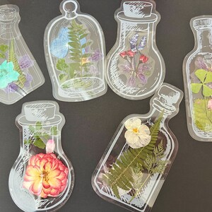 May include: Six clear glass bottles with white outlines, each containing pressed flowers and leaves. The bottles are arranged in a row on a black surface. The flowers include blue, purple, pink, white, and green.