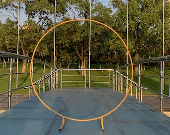 Gold Metal Round Wedding Arch: 6.6ft Full Circle Backdrop