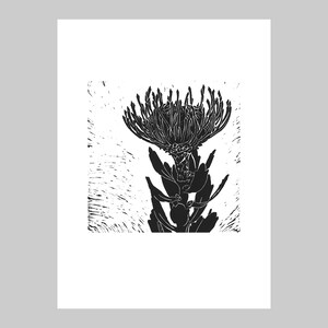 Nadelkissen, Australische Native, Limitierte Auflage, Linoldruck, handgemachte ungerahmte Pflanzenkunst, Original Kunstwerk, Flora, Natur, Geschenk, Grafik