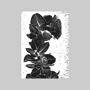 Eucalyptus I, Natif d’Australie, A6, Portrait, Carte de vœux, Toutes les occasions, Gras, Graphique, Noir et blanc, Impression de linogravure, Nature, Flore