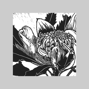Waratah, Natif d’Australie, Carte de vœux carrée, Toutes les occasions, Intérieur vierge, Gras, Graphique, Noir et blanc, Flore, Plante, Nature