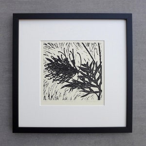 Grevillea I, Australische Native, Limitierte Auflage, gerahmt, Linolschnitt, handgemachte gedruckte Pflanzenkunst, Original Kunstwerk, Flora, Natur, Geschenk