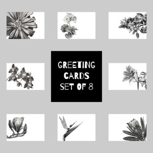 Ensemble de cartes de vœux de plantes exotiques australiennes, A6, Vierge, Toutes les occasions, Paysage, Flore, Dessins au crayon au graphite, Réaliste, Nature, Botanique