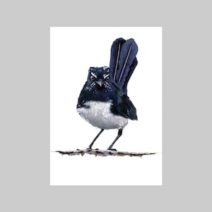 Willy Wagtail II, Australian Native Bird, A6, Portrait, Carte de vœux, Toutes les occasions, Réaliste, Noir et blanc, Botanique, Nature, Faune