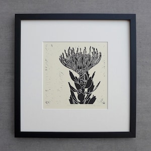 Nadelkissen, Australische Native, Limitierte Auflage, gerahmt, Linolschnittdruck, handgemachte gedruckte Pflanzenkunst, Original Kunstwerk, Flora, Natur, Geschenk