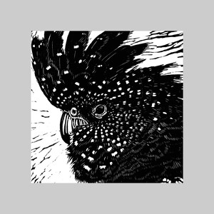 Cacatúa, Fauna nativa australiana, Formato cuadrado, Tarjeta de felicitación, Todas las ocasiones, Negrita, Gráfica, Blanco y negro, Pájaro, Naturaleza, Impresión Linocut
