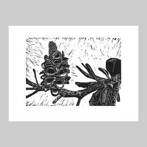 Banksia, Australian Native, Limited Edition, Linocut Print, Handmade Unframed Plant Art, Original Artwork, Flora, Nature, Gift, Bold