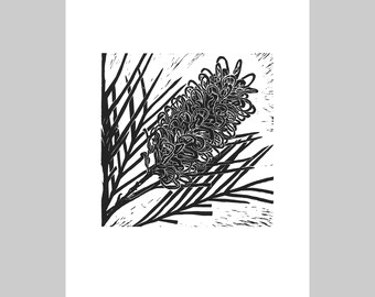 Grevillea II, Australian Native, Limited Edition, Linocut Print,Handmade Unframed Plant Art, Original Artwork, Flora, Nature, Gift, Graphic