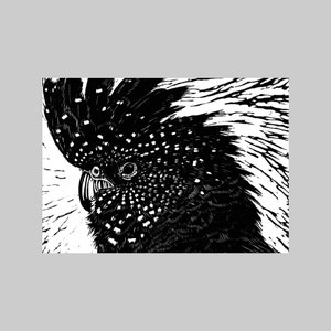 Cacatúa, Fauna nativa australiana, A6, Formato de paisaje, Tarjeta de felicitación, Todas las ocasiones, Negrita, Gráfico, Blanco y negro, Linocut Print, Naturaleza