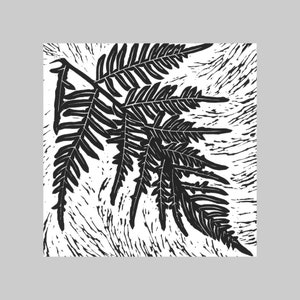 Bracken Fern, natif d’Australie, Carte de vœux carrée, Toutes les occasions, Intérieur vierge, Gras, Graphique, Noir et blanc, Flore, Plante, Nature
