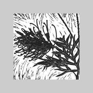 Grevillea I, Originaire d’Australie, Carte de vœux carrée, Toutes les occasions, Intérieur vierge, Gras, Graphique, Noir et blanc, Flore, Plante, Nature
