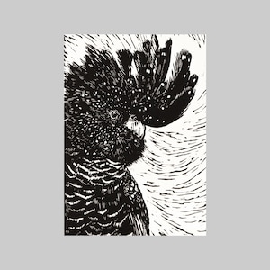 Kaketoe, Australische inheemse fauna, A6, Portret formaat, wenskaart, alle gelegenheid, Vet, Grafisch, Zwart en Wit, Linocut Print, Natuur
